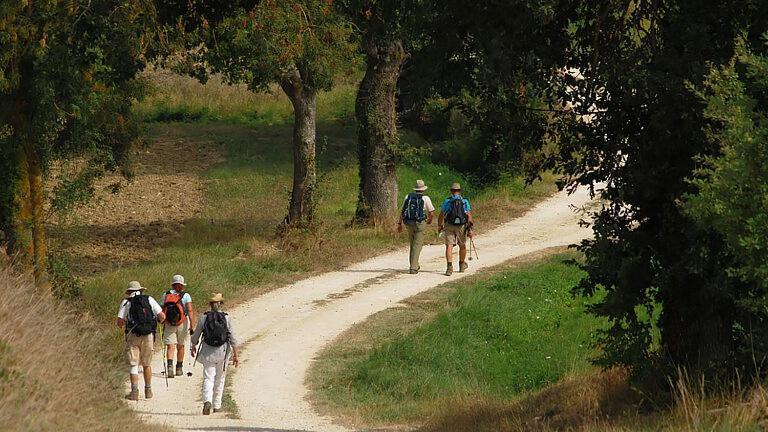 La Des Muriers Tres Spacieuse Dans Un Environnement Calme