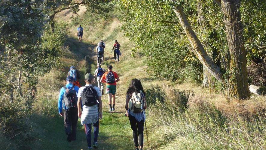 Villa La Des Muriers Tres Spacieuse Dans Un Environnement Calme Malause